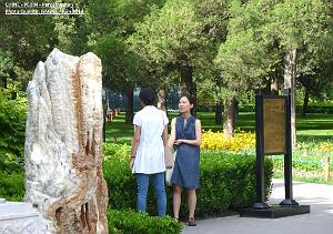 Pekin Jingshan 13